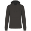 Variation picture for Grigio scuro